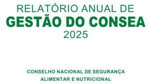 Relatório Anual de Gestão do Consea
